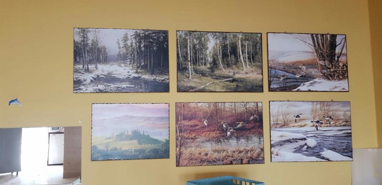 Leyla Hostel Braszów Zewnętrze zdjęcie