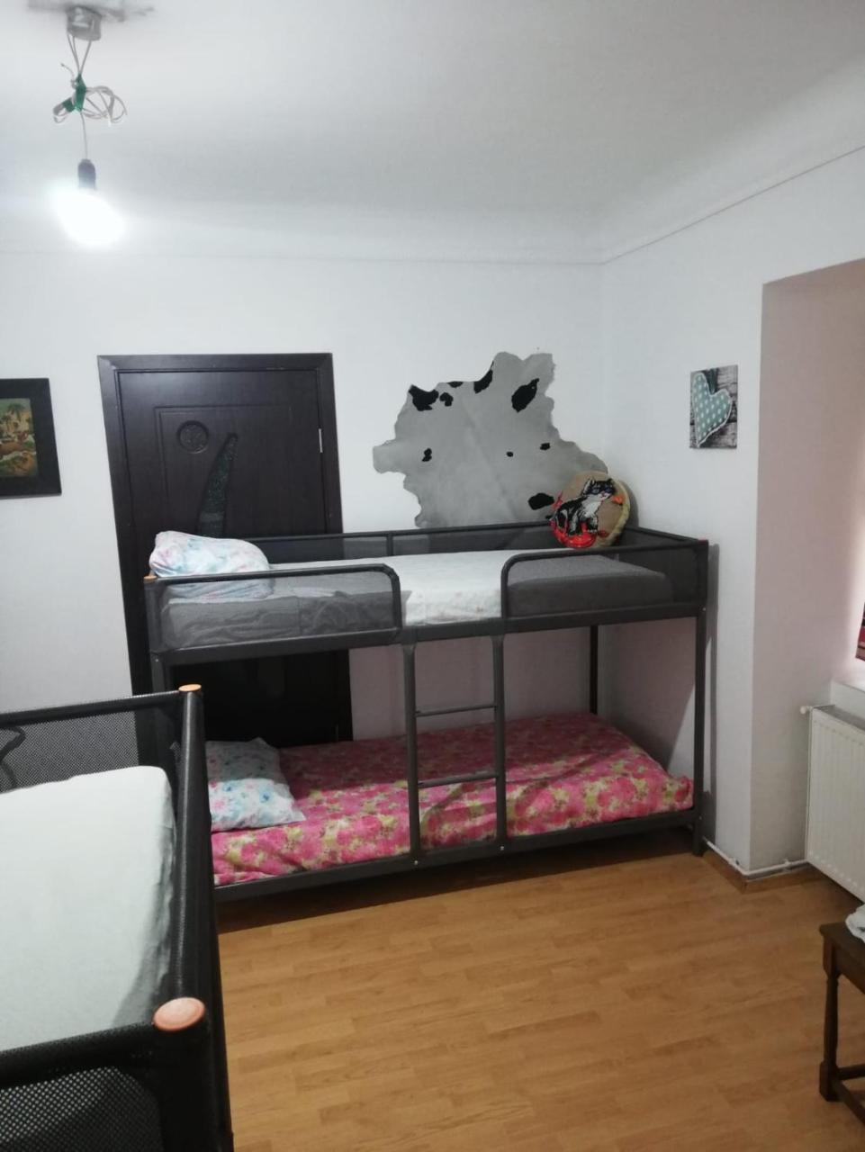Leyla Hostel Braszów Zewnętrze zdjęcie