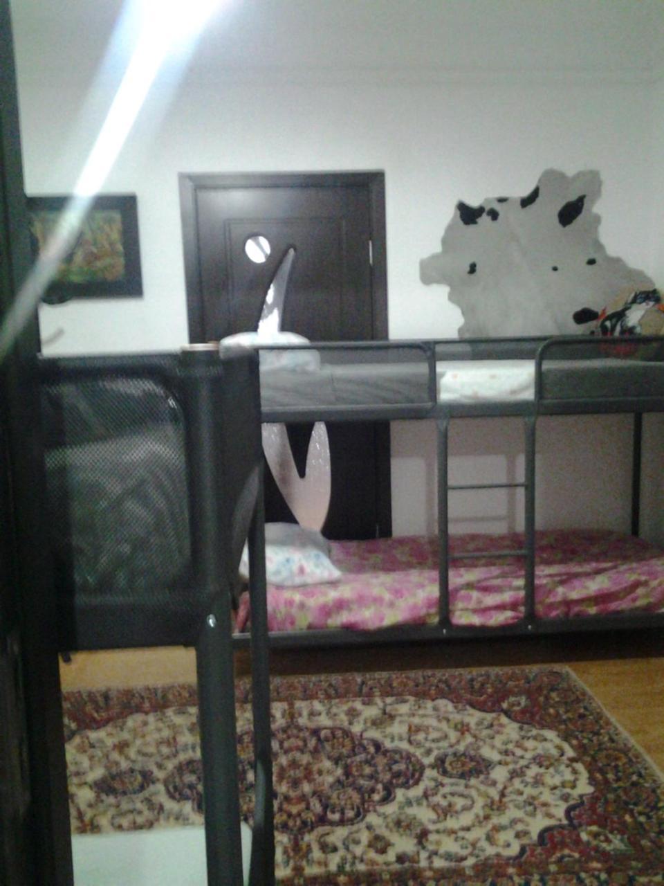 Leyla Hostel Braszów Zewnętrze zdjęcie