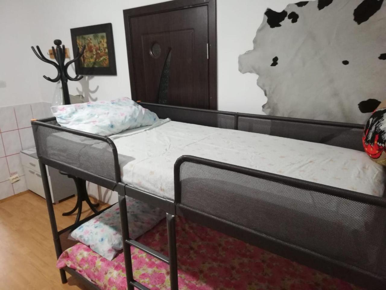 Leyla Hostel Braszów Zewnętrze zdjęcie