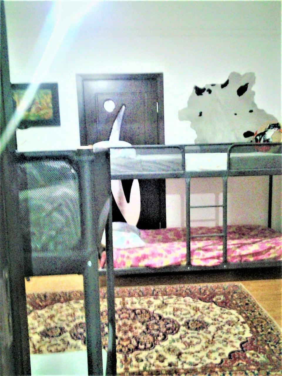 Leyla Hostel Braszów Zewnętrze zdjęcie